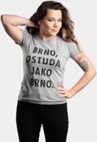 Dámské šedé tričko PIPUB - Ostuda jak Brno