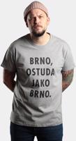 Pánské šedé tričko PIPUB - Ostuda jak Brno